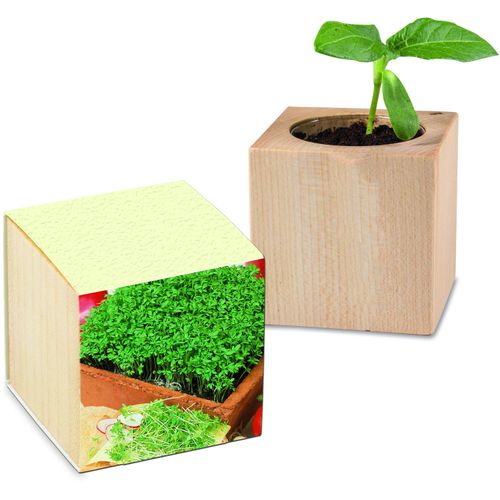 Pflanz-Holz mit Samen (Graspapier-Banderole) - Gartenkresse, 2 Seiten gelasert (Art.-Nr. CA097116) - Der Würfel aus hellem europäischem Hol...