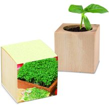 Pflanz-Holz mit Samen (Graspapier-Banderole) - Gartenkresse, 2 Seiten gelasert (individuell) (Art.-Nr. CA097116)