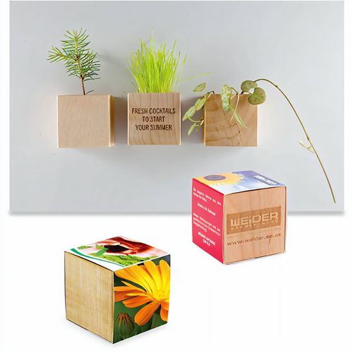Pflanz-Holz Magnet mit Samen - Ringelblume, 1 Seite gelasert (Art.-Nr. CA102104) - Ob am Kühlschrank, der Pinnwand ode...