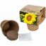 Anzucht-Set mit Samen - Sonnenblume (individuell) (Art.-Nr. CA104237)