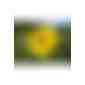 Pflanz-Holz Magnet mit Samen - Sonnenblume, 2 Seiten gelasert (Art.-Nr. CA106671) - Ob am Kühlschrank, der Pinnwand ode...