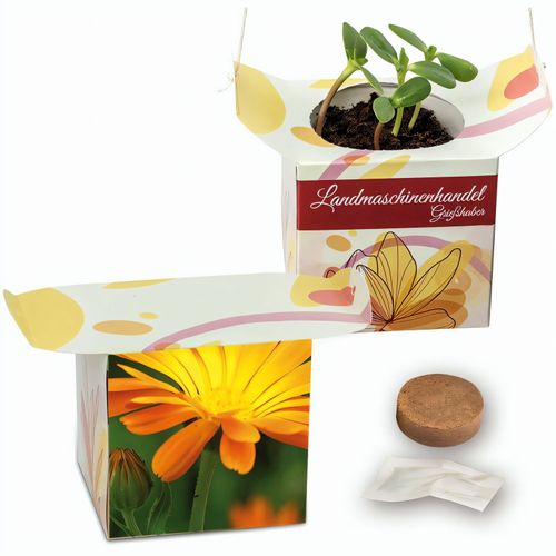 Blumenampel - Ringelblume (Art.-Nr. CA111347) - Die kleine Blumenampel präsentier...