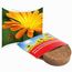 Plant-Tab mit Samen - Ringelblume (individuell) (Art.-Nr. CA120185)