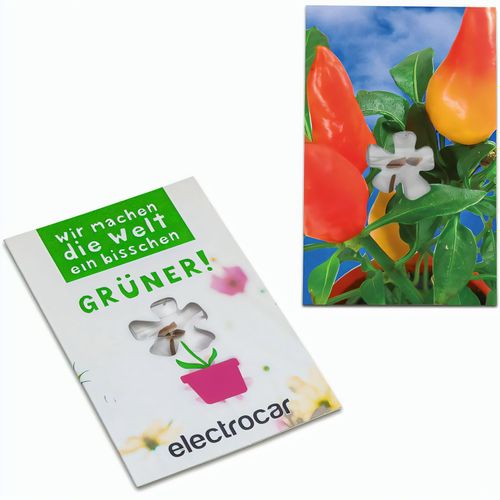 Samen-Karte-Mini Blume - Gewürzpaprika (Art.-Nr. CA127708) - Ein sympathischer Werbe- und Mailingarti...