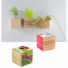 Pflanz-Holz Magnet mit Samen - Sommerblumenmischung, 2 Seiten gelasert (individuell) (Art.-Nr. CA128718)