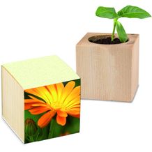 Pflanz-Holz mit Samen (Graspapier-Banderole) - Ringelblume, 1 Seite gelasert (individuell) (Art.-Nr. CA133294)