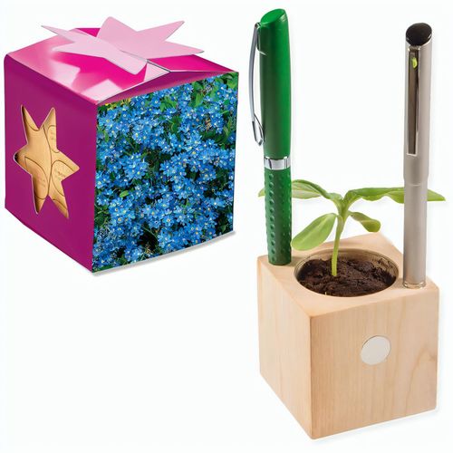 Pflanz-Holz Büro Star-Box mit Samen - Vergissmeinnicht, 1 Seite gelasert (Art.-Nr. CA144081) - Der Würfel aus hellem, europäisch...