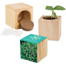 Pflanz-Holz Maxi mit Samen - Persischer Klee (individuell) (Art.-Nr. CA181642)