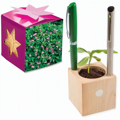 Pflanz-Holz Büro Star-Box mit Samen - Persischer Klee, 1 Seite gelasert (Art.-Nr. CA182055) - Der Würfel aus hellem, europäisch...