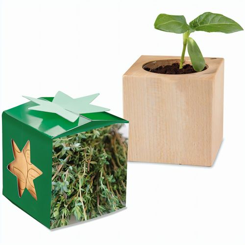 Pflanz-Holz Star-Box mit Samen - Thymian, 1 Seite gelasert (Art.-Nr. CA182083) - Der Würfel aus hellem, europäisch...