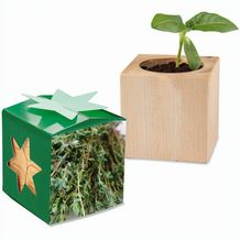 Pflanz-Holz Star-Box mit Samen - Thymian, 1 Seite gelasert (individuell) (Art.-Nr. CA182083)