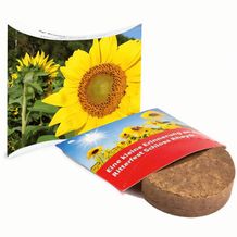 Plant-Tab mit Samen - Sonnenblume (individuell) (Art.-Nr. CA197840)