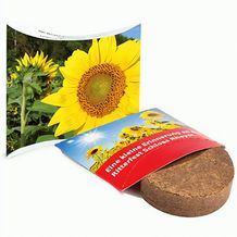 Plant-Tab mit Samen - Sonnenblume (individuell) (Art.-Nr. CA197840)
