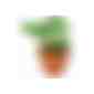 Logo-Töpfchen Überreichverpackung mit Samen - Glücksklee-Zwiebeln (* Je nach Verfügbarkeit der Glücksklee-Zwiebeln) (Art.-Nr. CA199806) - Für abwechslungsreiches Grün im B...