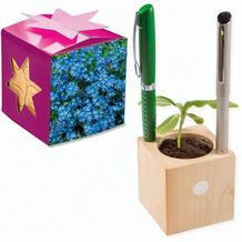 Pflanz-Holz Büro Star-Box mit Samen - Vergissmeinnicht (individuell) (Art.-Nr. CA200735)