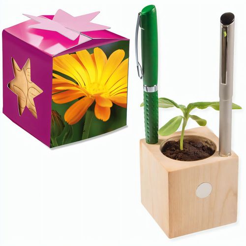 Pflanz-Holz Büro Star-Box mit Samen - Ringelblume, 2 Seiten gelasert (Art.-Nr. CA202514) - Der Würfel aus hellem, europäisch...