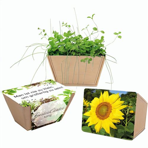 Mini-Beet mit Samen - Sonnenblume (Art.-Nr. CA203109) - Das attraktive Blumenkästchen aus Hol...