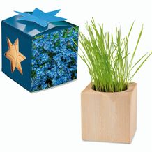 Pflanz-Holz Maxi Star-Box mit Samen - Vergissmeinnicht, 1 Seite gelasert (individuell) (Art.-Nr. CA213010)