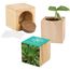 Pflanz-Holz Maxi mit Samen - Fichte (individuell) (Art.-Nr. CA228103)