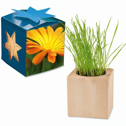 Pflanz-Holz Maxi Star-Box mit Samen - Ringelblume, 1 Seite gelasert (Art.-Nr. CA234707) - Der Würfel aus hellem, europäisch...