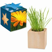 Pflanz-Holz Maxi Star-Box mit Samen - Ringelblume, 1 Seite gelasert (individuell) (Art.-Nr. CA234707)