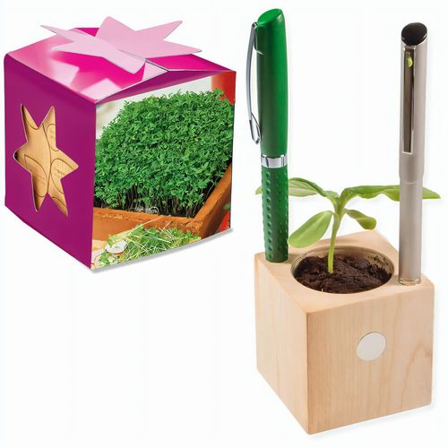 Pflanz-Holz Büro Star-Box mit Samen - Gartenkresse, 1 Seite gelasert (Art.-Nr. CA235460) - Der Würfel aus hellem, europäisch...