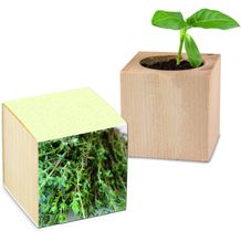 Pflanz-Holz mit Samen (Graspapier-Banderole) - Thymian (individuell) (Art.-Nr. CA238673)