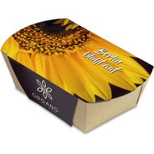 Pflanz-Schale - Sonnenblume (individuell) (Art.-Nr. CA260502)