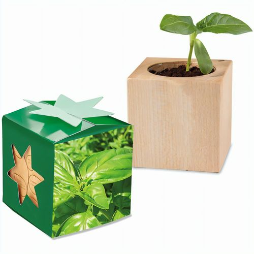 Pflanz-Holz Star-Box mit Samen - Basilikum, 1 Seite gelasert (Art.-Nr. CA265616) - Der Würfel aus hellem, europäisch...