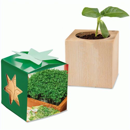 Pflanz-Holz Star-Box mit Samen - Gartenkresse, 1 Seite gelasert (Art.-Nr. CA266161) - Der Würfel aus hellem, europäisch...