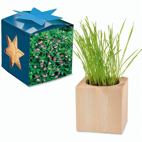 Pflanz-Holz Maxi Star-Box mit Samen - Persischer Klee, 2 Seiten gelasert (Art.-Nr. CA272520) - Der Würfel aus hellem, europäisch...