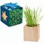 Pflanz-Holz Maxi Star-Box mit Samen - Persischer Klee, 2 Seiten gelasert (individuell) (Art.-Nr. CA272520)