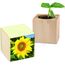 Pflanz-Holz mit Samen (Graspapier-Banderole) - Sonnenblume, 2 Seiten gelasert (individuell) (Art.-Nr. CA273343)