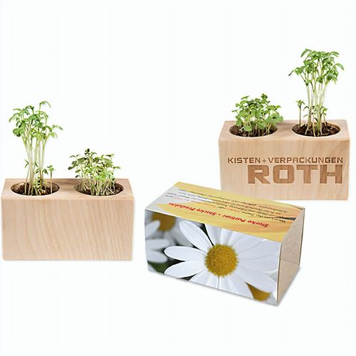 Pflanz-Holz 2er Set mit Samen - Margerite (Art.-Nr. CA277355) - Mehr Platz für Blumen, Kräuter und die...
