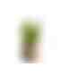 Pflanz-Holz rund mit Samen - Glücksklee-Zwiebel, Lasergravur (* Je nach Verfügbarkeit der Glücksklee-Zwiebeln) (Art.-Nr. CA283769) - Das dekorative Pflanz-Holz rund aus...