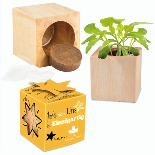 Pflanz-Holz Star-Box Ostern mit Samen - Eierbaumsamen (Art.-Nr. CA286046) - Der Würfel aus hellem, europäisch...