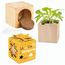 Pflanz-Holz Star-Box Ostern mit Samen - Eierbaumsamen (individuell) (Art.-Nr. CA286046)