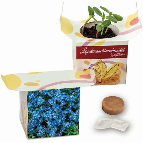 Blumenampel - Vergissmeinnicht (Art.-Nr. CA287274) - Die kleine Blumenampel präsentier...