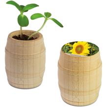 Pflanz-Fässchen mit Samen - Sonnenblume (individuell) (Art.-Nr. CA289105)