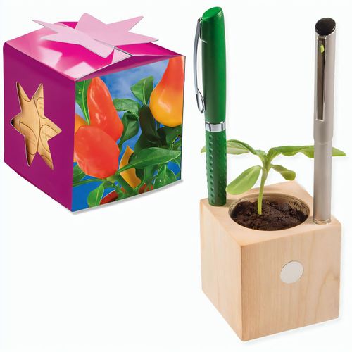 Pflanz-Holz Büro Star-Box mit Samen - Gewürzpaprika, 1 Seite gelasert (Art.-Nr. CA295588) - Der Würfel aus hellem, europäisch...