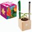 Pflanz-Holz Büro Star-Box mit Samen - Gewürzpaprika, 1 Seite gelasert (individuell) (Art.-Nr. CA295588)