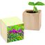 Pflanz-Holz mit Samen (Graspapier-Banderole) - Sommerblumenmischung, 2 Seiten gelasert (individuell) (Art.-Nr. CA296094)