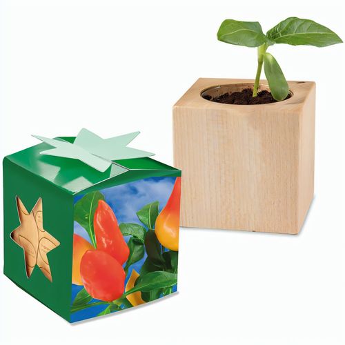 Pflanz-Holz Star-Box mit Samen - Gewürzpaprika (Art.-Nr. CA298474) - Der Würfel aus hellem, europäisch...