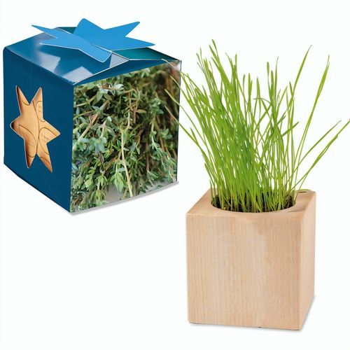 Pflanz-Holz Maxi Star-Box mit Samen - Thymian, 1 Seite gelasert (Art.-Nr. CA315751) - Der Würfel aus hellem, europäisch...
