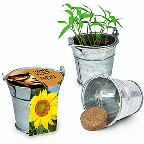 Pflanzeimerchen mit Samen - Sonnenblume (Art.-Nr. CA320218) - Im verzinkten Metalleimerchen befindet...