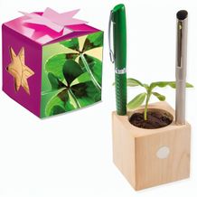 Pflanz-Holz Büro Star-Box mit Samen - Glücksklee-Zwiebel, 2 Seiten gelasert (* Je nach Verfügbarkeit der Glücksklee-Zwiebeln) (individuell) (Art.-Nr. CA325612)