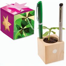 Pflanz-Holz Büro Star-Box mit Samen - Glücksklee-Zwiebel, 2 Seiten gelasert (* Je nach Verfügbarkeit der Glücksklee-Zwiebeln) (individuell) (Art.-Nr. CA325612)