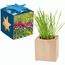 Pflanz-Holz Maxi Star-Box mit Samen - Sommerblumenmischung, 2 Seiten gelasert (individuell) (Art.-Nr. CA357155)