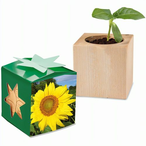 Pflanz-Holz Star-Box mit Samen - Sonnenblume (Art.-Nr. CA362560) - Der Würfel aus hellem, europäisch...