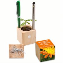 Pflanz-Holz Büro mit Samen - Ringelblume (individuell) (Art.-Nr. CA365601)